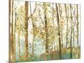 Wood Mount