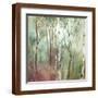 Brown Frame