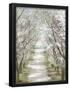 Essential Black