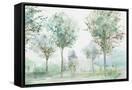 Canvas Black