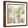 Brown Frame