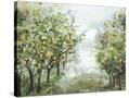 Stretched Canvas