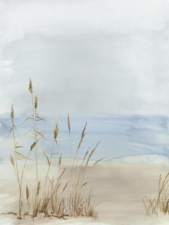 Soft Beach Grass II