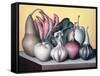 Allium Attaches, 2005-Brian Irving-Framed Stretched Canvas