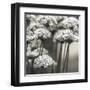 Allium Cluster-Assaf Frank-Framed Giclee Print
