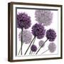 Allium Fernandez, 2004-Sarah Hough-Framed Giclee Print