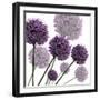 Allium Fernandez, 2004-Sarah Hough-Framed Giclee Print