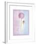 Allium Giganteum-Nicola Rabbett-Framed Art Print