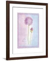 Allium Giganteum-Nicola Rabbett-Framed Art Print