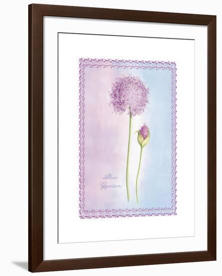 Allium Giganteum-Nicola Rabbett-Framed Art Print