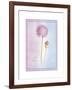 Allium Giganteum-Nicola Rabbett-Framed Art Print