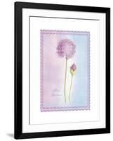 Allium Giganteum-Nicola Rabbett-Framed Art Print