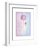 Allium Giganteum-Nicola Rabbett-Framed Art Print