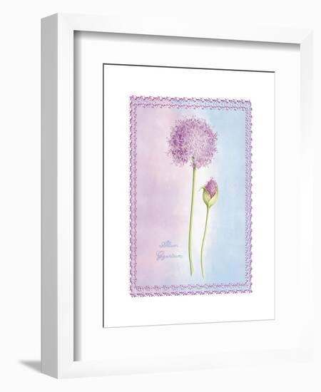 Allium Giganteum-Nicola Rabbett-Framed Art Print