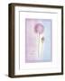 Allium Giganteum-Nicola Rabbett-Framed Art Print