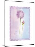 Allium Giganteum-Nicola Rabbett-Mounted Art Print