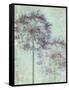 Allium Globe Master-Judy Stalus-Framed Stretched Canvas