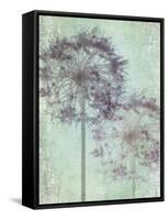 Allium Globe Master-Judy Stalus-Framed Stretched Canvas