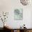 Allium Globe Master-Judy Stalus-Photographic Print displayed on a wall