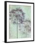 Allium Globe Master-Judy Stalus-Framed Photographic Print