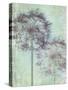 Allium Globe Master-Judy Stalus-Stretched Canvas