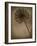 Allium II-Heather Jacks-Framed Giclee Print