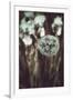 Allium Mint-Mindy Sommers-Framed Giclee Print