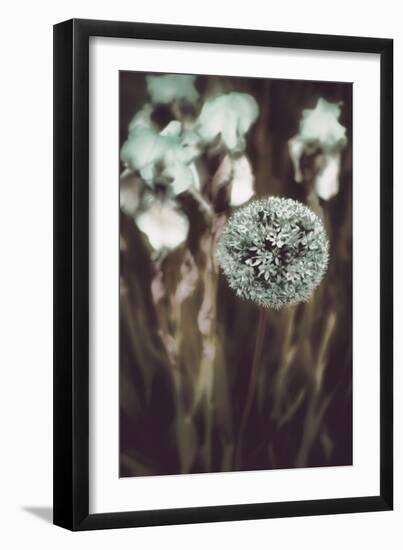 Allium Mint-Mindy Sommers-Framed Giclee Print