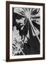 Allium Shadow-Ella Lancaster-Framed Giclee Print