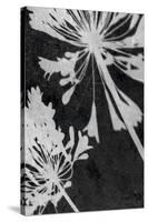 Allium Shadow-Ella Lancaster-Stretched Canvas