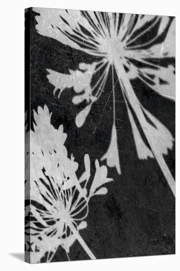 Allium Shadow-Ella Lancaster-Stretched Canvas