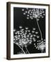 Allium Silhouette II-Ella Lancaster-Framed Giclee Print