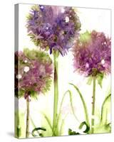 Alliums-Dawn Derman-Stretched Canvas