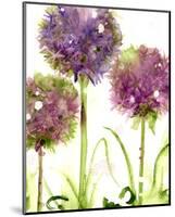 Alliums-Dawn Derman-Mounted Art Print