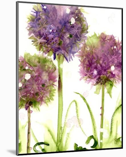 Alliums-Dawn Derman-Mounted Art Print