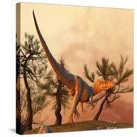 Allosaurus, a Large Theropod Dinosaur from the Late Jurassic Period-null-Stretched Canvas