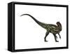 Allosaurus, a Prehistoric Era Dinosaur-null-Framed Stretched Canvas