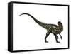 Allosaurus, a Prehistoric Era Dinosaur-null-Framed Stretched Canvas