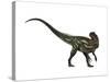 Allosaurus, a Prehistoric Era Dinosaur-null-Stretched Canvas