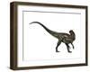 Allosaurus, a Prehistoric Era Dinosaur-null-Framed Art Print