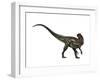 Allosaurus, a Prehistoric Era Dinosaur-null-Framed Art Print