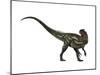 Allosaurus, a Prehistoric Era Dinosaur-null-Mounted Art Print