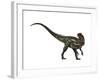 Allosaurus, a Prehistoric Era Dinosaur-null-Framed Art Print