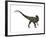 Allosaurus, a Prehistoric Era Dinosaur-null-Framed Art Print