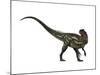 Allosaurus, a Prehistoric Era Dinosaur-null-Mounted Art Print
