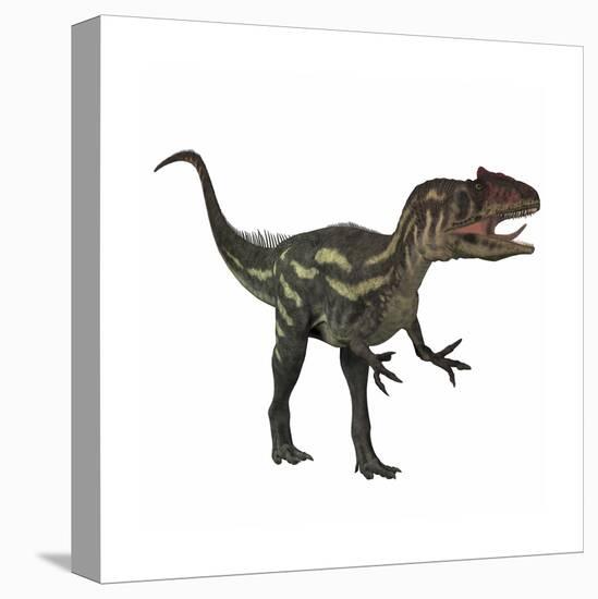 Allosaurus, a Prehistoric Era Dinosaur-null-Stretched Canvas