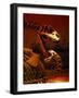 Allosaurus and Camptosaurus, Museum-Mark Gibson-Framed Photographic Print