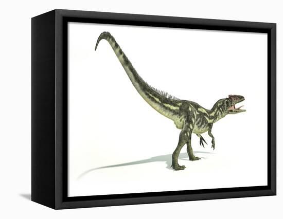 Allosaurus Dinosaur, Artwork-null-Framed Stretched Canvas