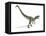 Allosaurus Dinosaur, Artwork-null-Framed Stretched Canvas