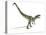 Allosaurus Dinosaur, Artwork-null-Stretched Canvas